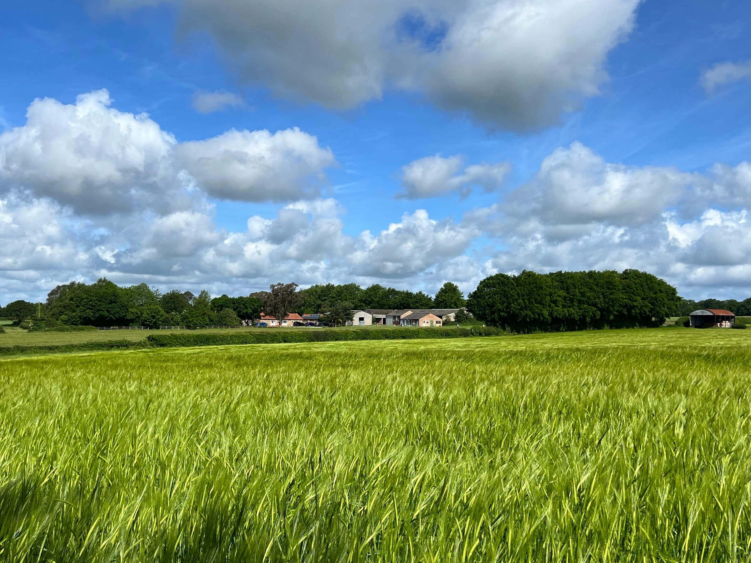 Wood Farm, Edgefield